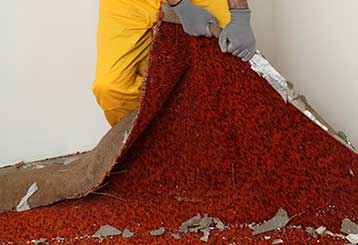 Cheap Water Damage Restoration | Carpet Cleaning Van Nuys