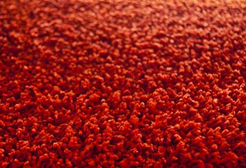 Get Rid of Carpet Dust | Carpet Cleaning Van Nuys CA