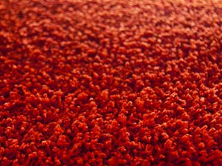 Get Rid of Carpet Dust | Van Nuys Carpet Cleaning CA