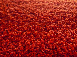 Get Rid of Carpet Dust | Van Nuys Carpet Cleaning Get Rid of Carpet Dust | Van Nuys Carpet Cleaning CA