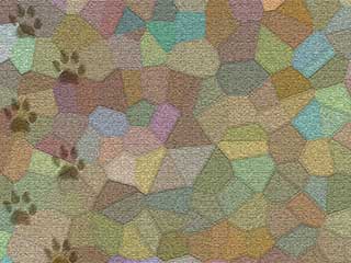 How to Remove Pet Stains from Your Carpet | Van Nuys CA How to Remove Pet Stains from Your Carpet | Van Nuys CA