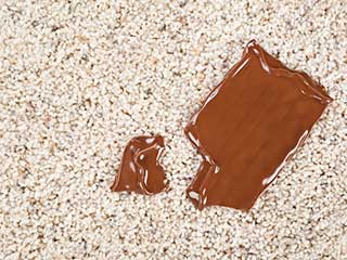 Stain Removal | Van Nuys Carpet Cleaning Stubborn Stain Removal | Carpet Cleaning Van Nuys CA
